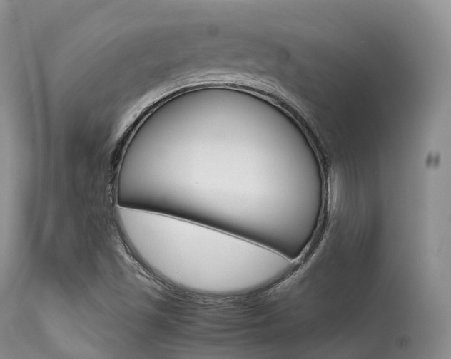 X0000113541501200909181011