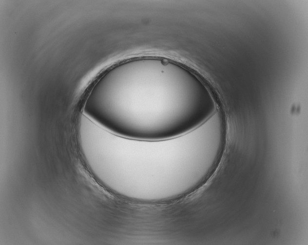 X0000113541502200909181011