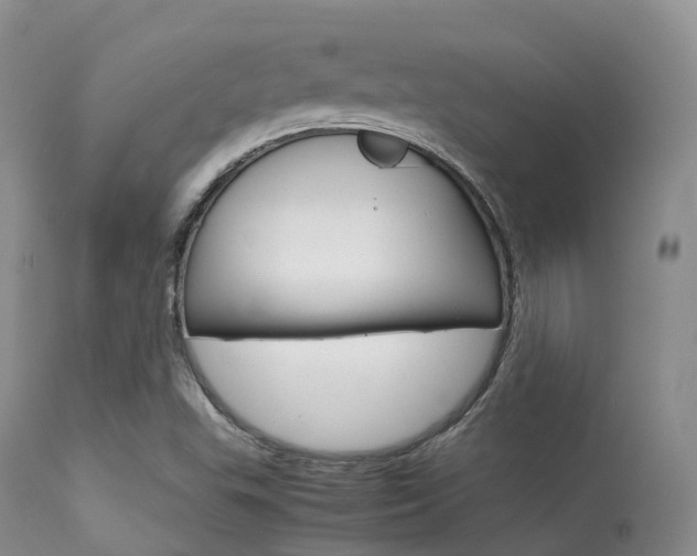 X0000113541503200909181011