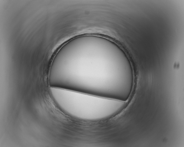 X0000113541505200909181011