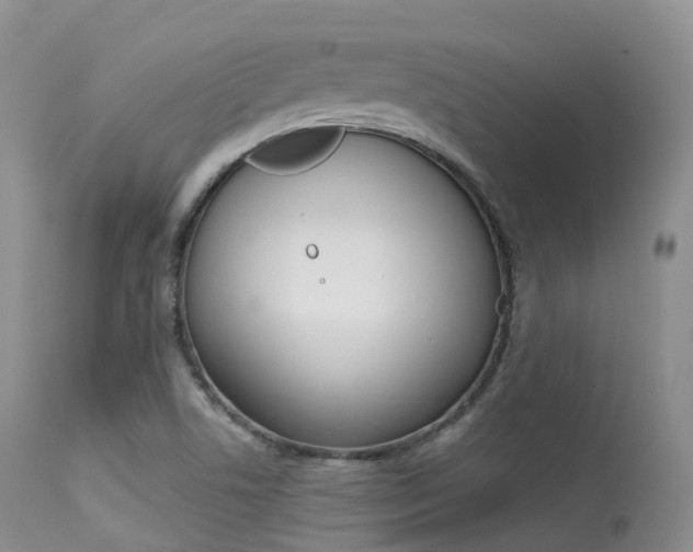 X0000113541506200909181011