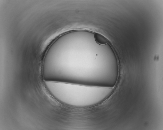 X0000113541507200909181011