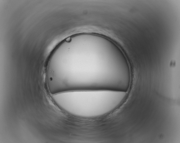 X0000113541509200909181011
