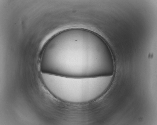 X0000113541510200909181011