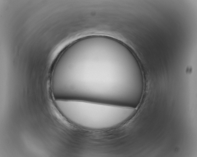 X0000113541511200909181011