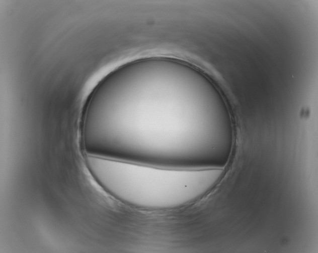 X0000113541512200909181011