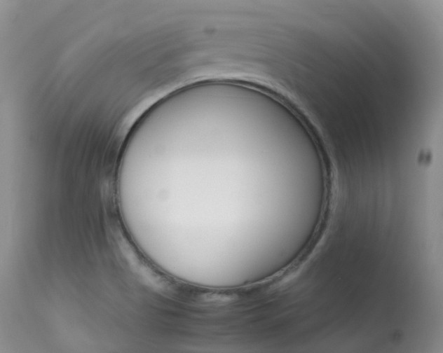 X0000113541513200909181011