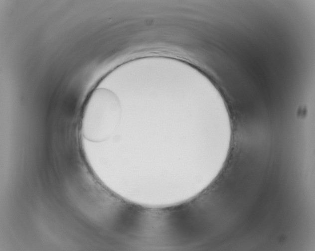 X0000113541514200909181011