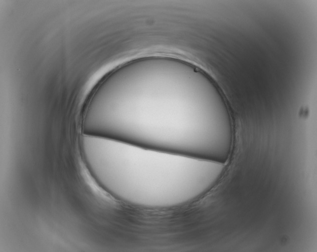 X0000113541515200909181011