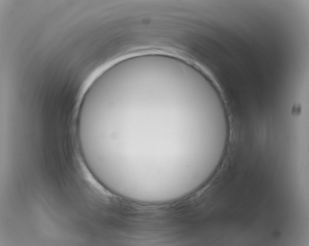 X0000113541516200909181011