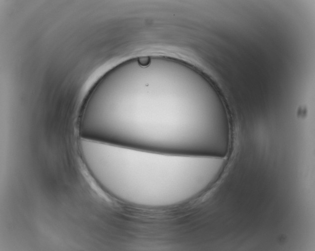 X0000113541517200909181011