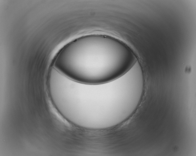 X0000113541518200909181011