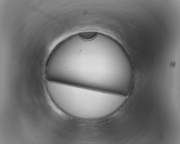 X0000113541519200909181011