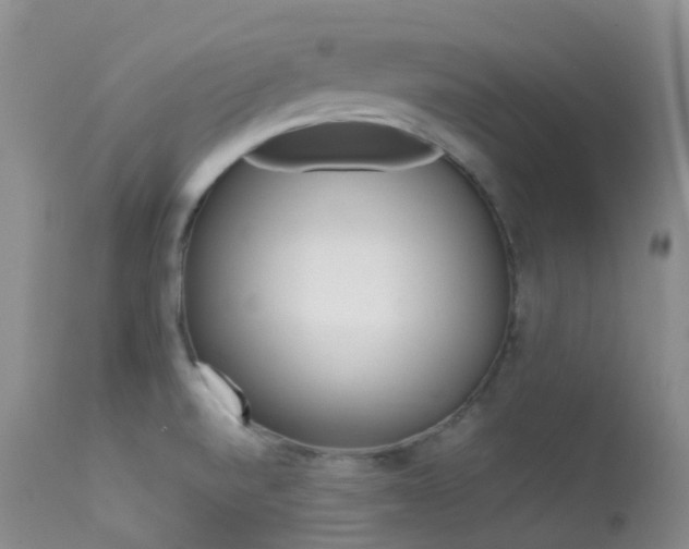 X0000113541520200909181011