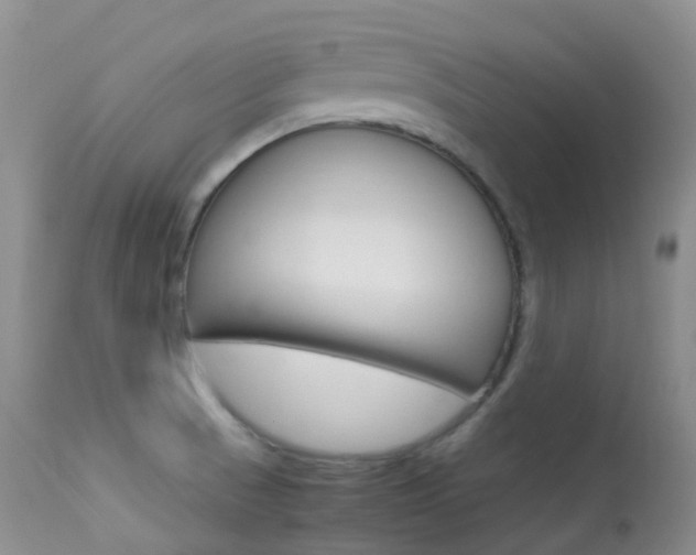 X0000113541521200909181011