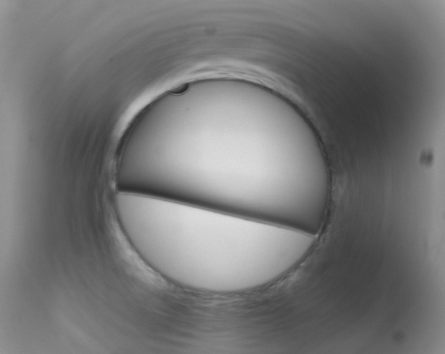 X0000113541522200909181011