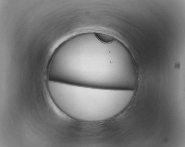 X0000113541523200909181011