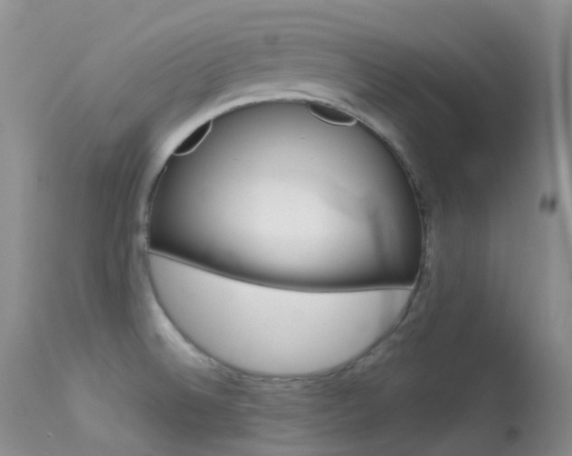 X0000113541524200909181011