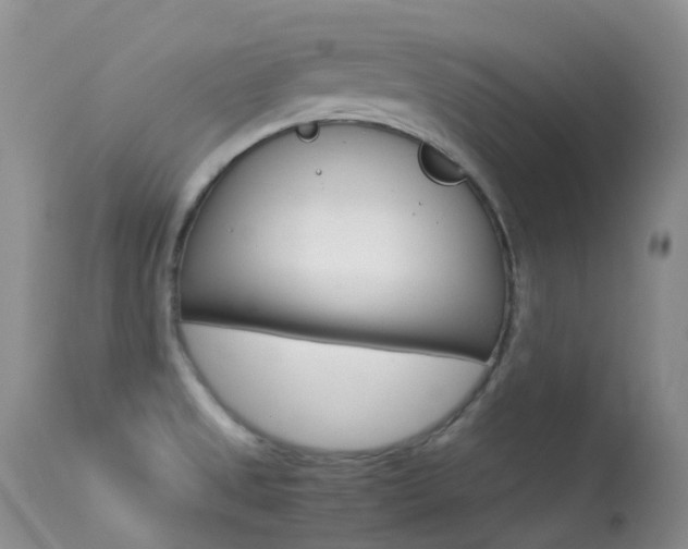 X0000113541525200909181011