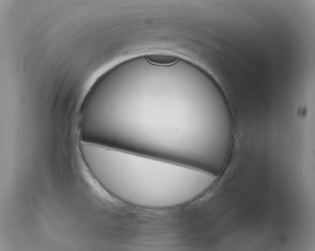 X0000113541526200909181011