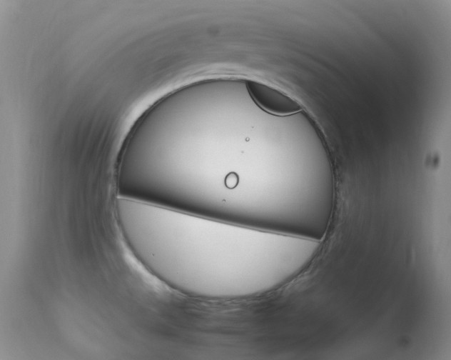X0000113541527200909181011