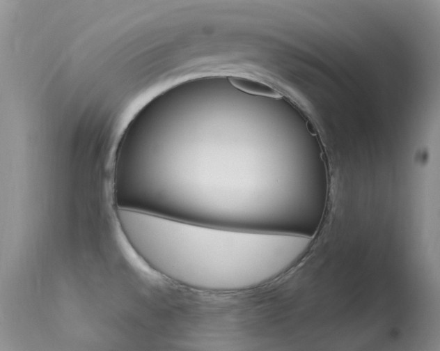 X0000113541528200909181011