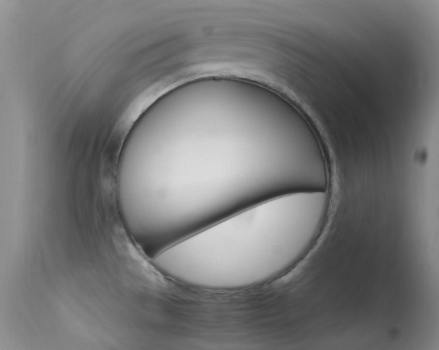 X0000113541529200909181011