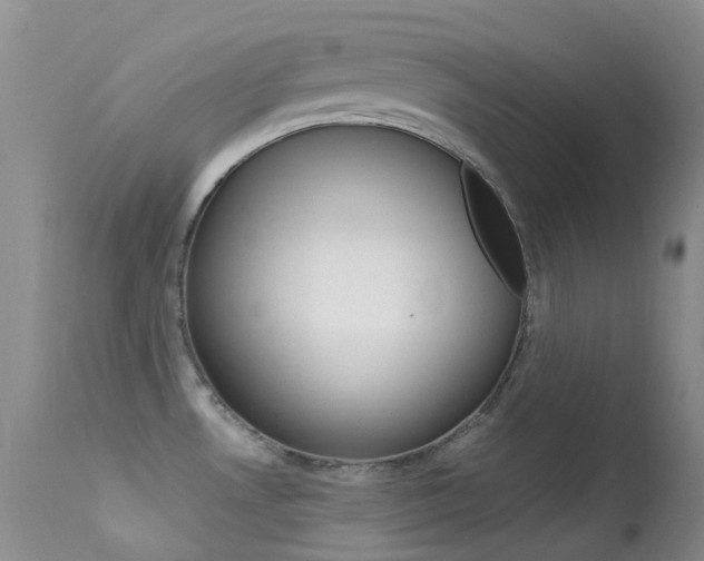 X0000113541530200909181011