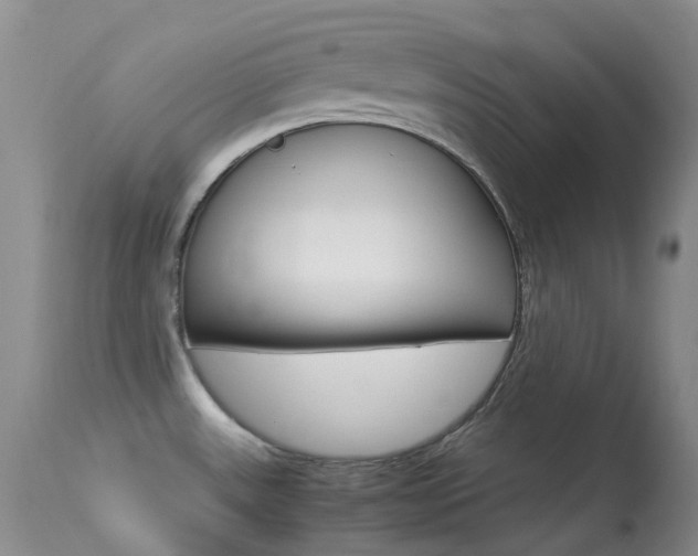 X0000113541531200909181011