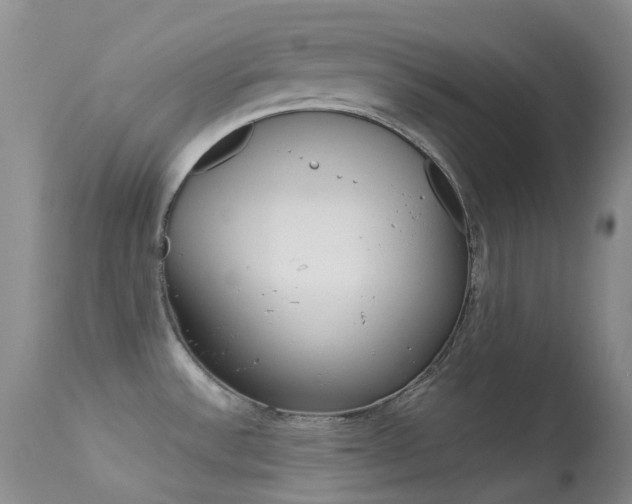 X0000113541532200909181011