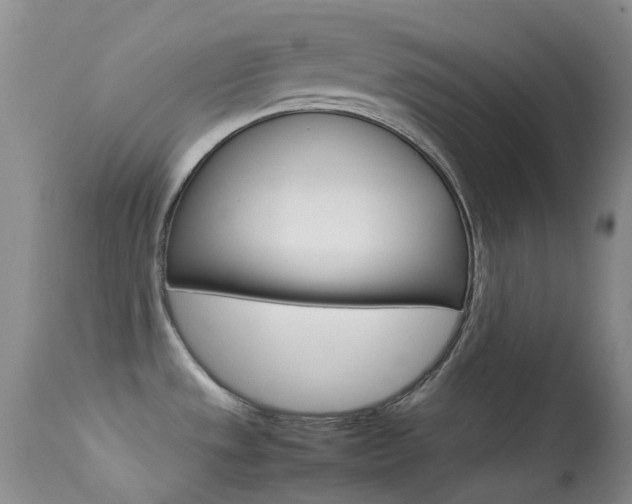 X0000113541533200909181011
