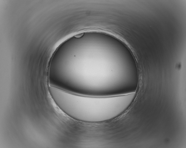 X0000113541534200909181011