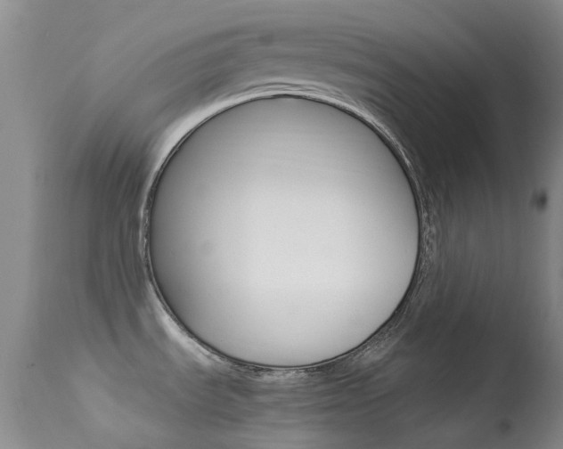 X0000113541535200909181011
