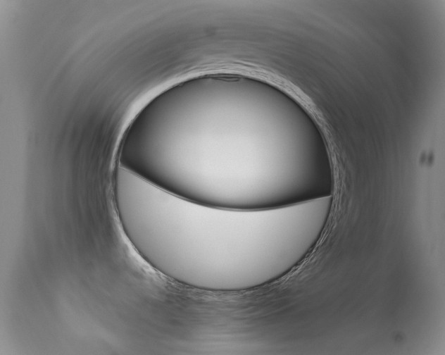 X0000113541536200909181011