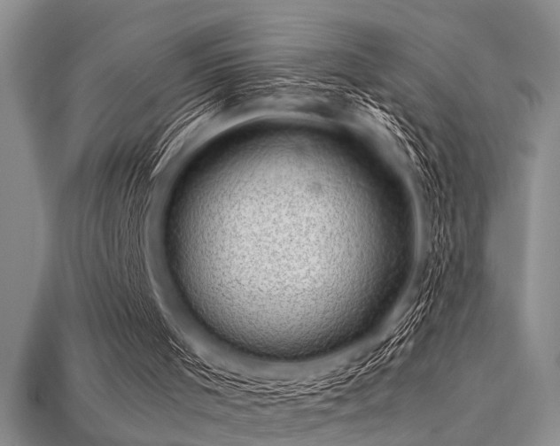 X0000113540001200909181207