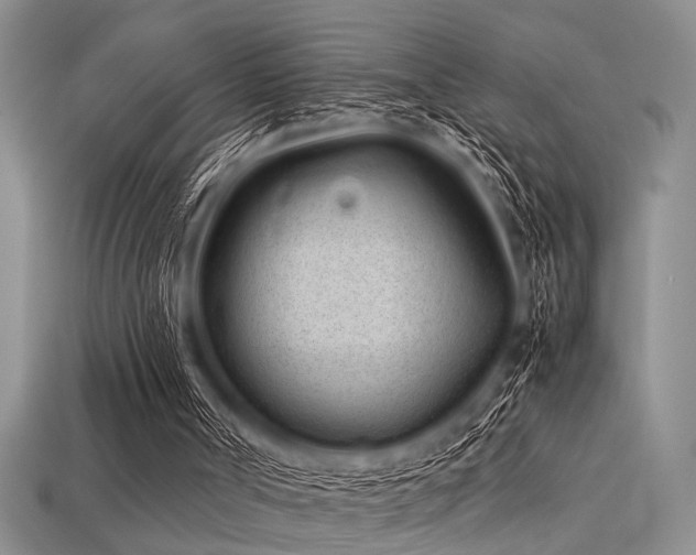 X0000113540002200909181207