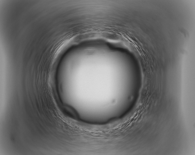 X0000113540003200909181207
