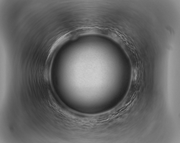 X0000113540004200909181207