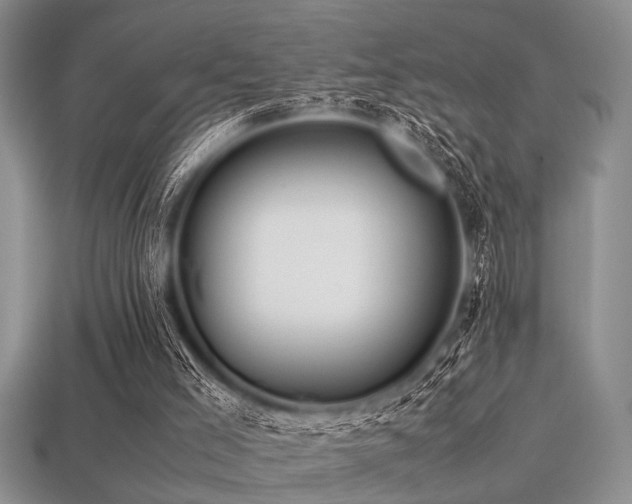 X0000113540005200909181207