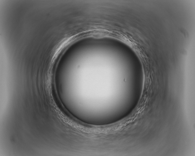 X0000113540007200909181207