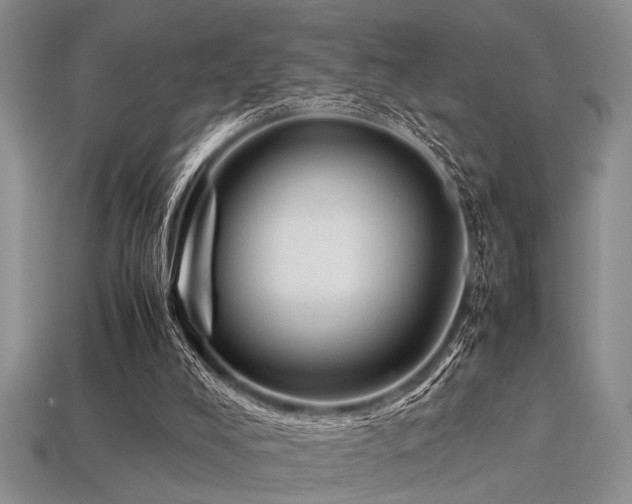 X0000113540008200909181207