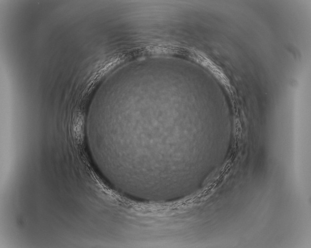X0000113540009200909181207