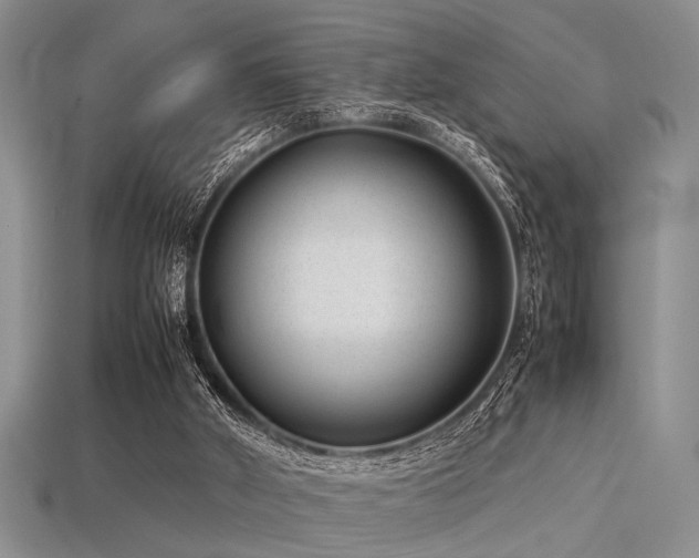 X0000113540010200909181207