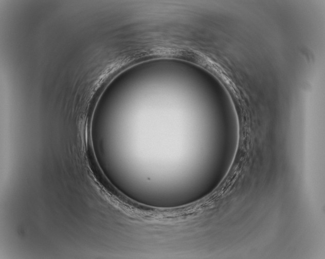 X0000113540011200909181207
