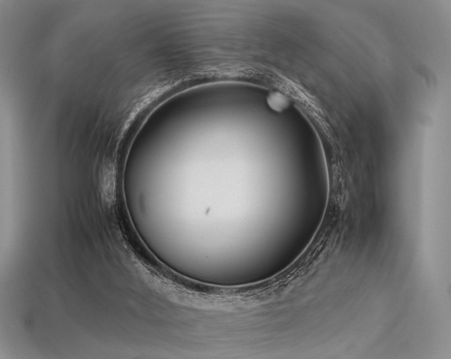 X0000113540012200909181207