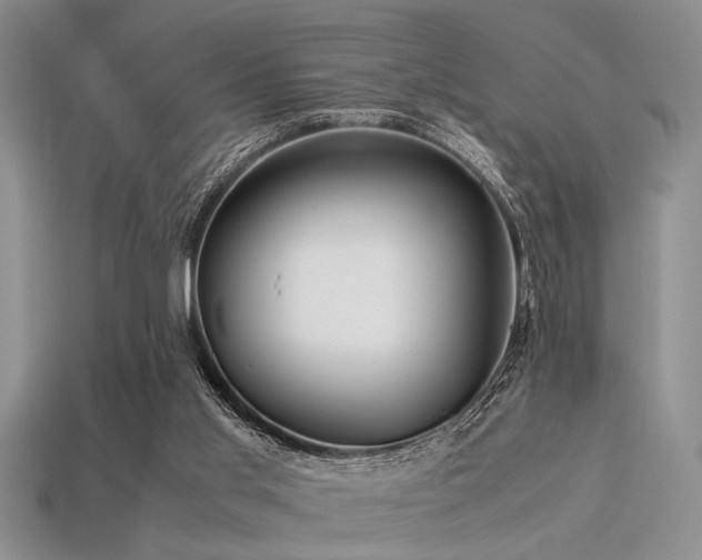 X0000113540013200909181207