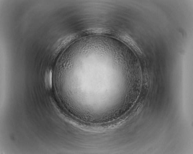 X0000113540014200909181207