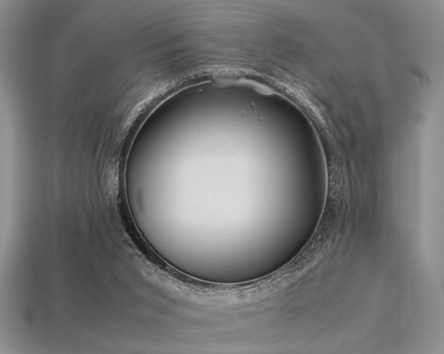 X0000113540015200909181207
