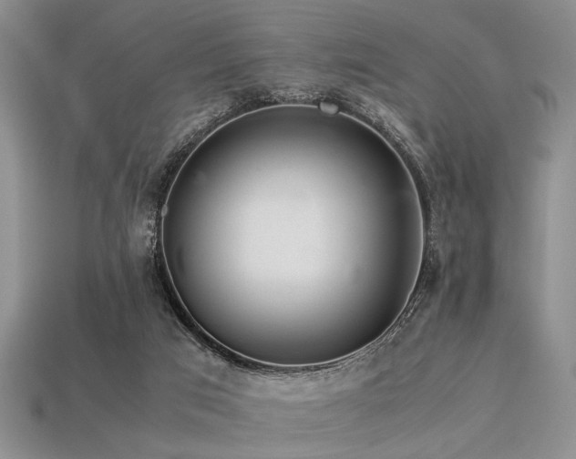 X0000113540017200909181207