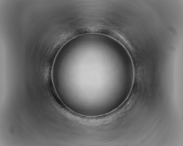 X0000113540018200909181207